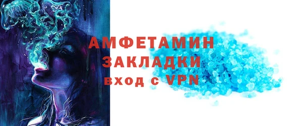 индика Нягань