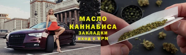 индика Нягань
