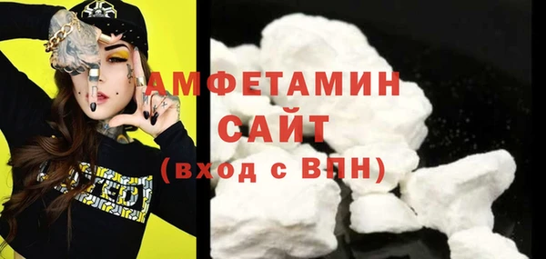 крисы Няндома