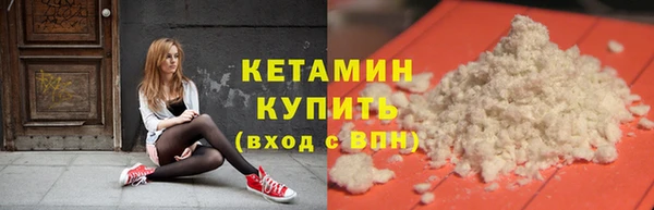 крисы Няндома