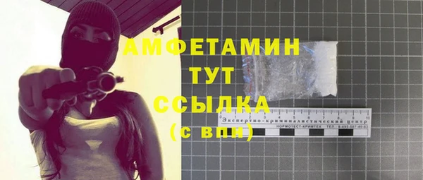крисы Няндома
