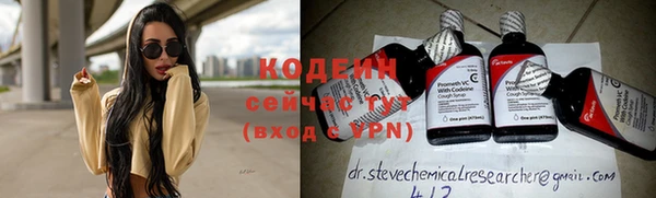 крисы Няндома