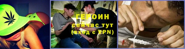 индика Нягань