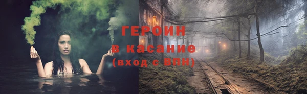 индика Нягань