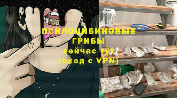 крисы Няндома