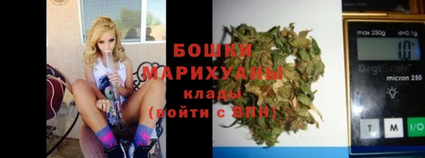 крисы Няндома