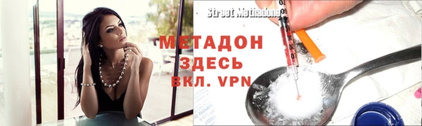 индика Нягань