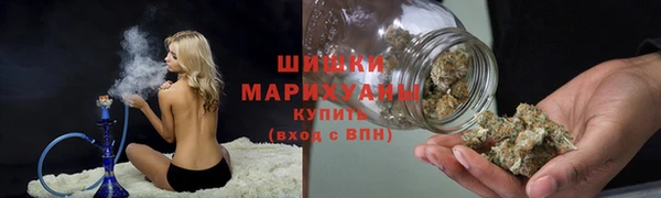 крисы Няндома