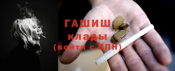 индика Нягань