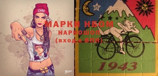 индика Нягань
