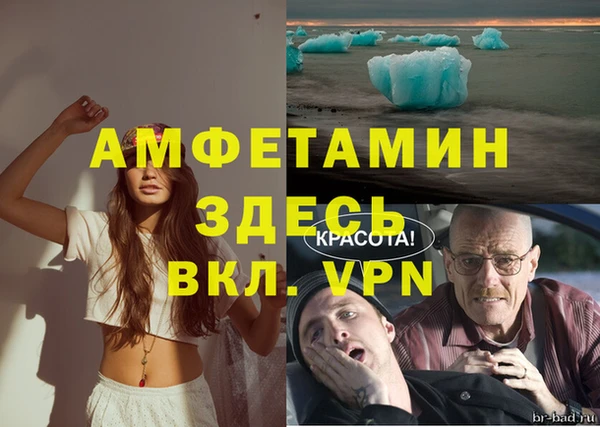 индика Нягань