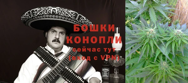 индика Нягань
