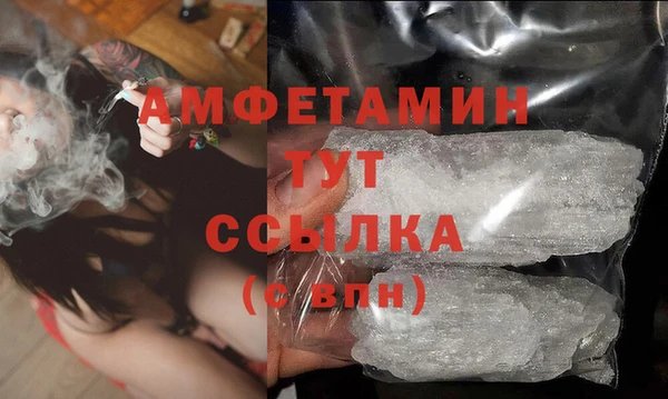 крисы Няндома