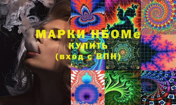 крисы Няндома