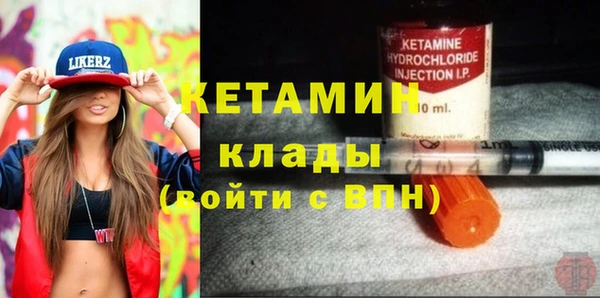 индика Нягань