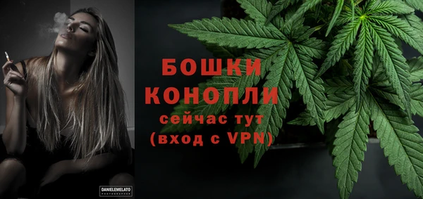 крисы Няндома