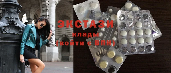 индика Нягань