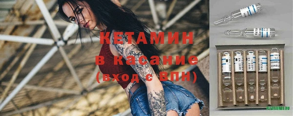 индика Нягань