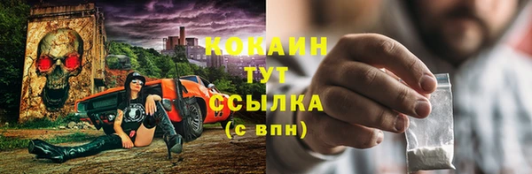 крисы Няндома