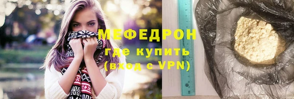 индика Нягань