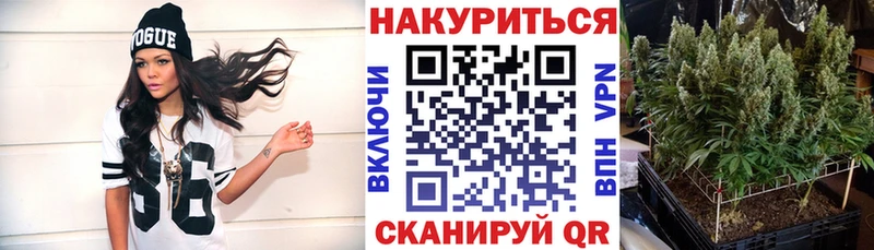 наркотики  Шарья  Марихуана планчик 